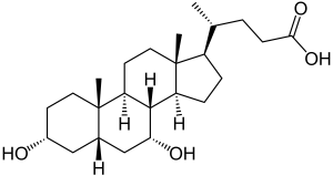 Chenodeoxycholic acid impedes the progression of pulmonary fibrosis via up-regulation of TLR4 and Has