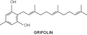 Grifolin