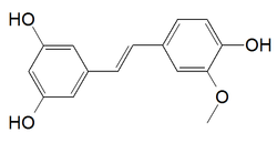 Isorhapontigenin