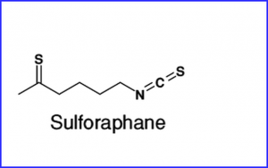 sulforaphane