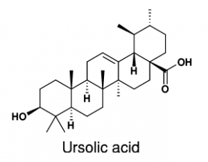 The Chemical structure of Ursolic acid found in apples, basil, bilberries, cranberries, elder flower, peppermint, rosemary, lavender, oregano, thyme, hawthorn, and prunes