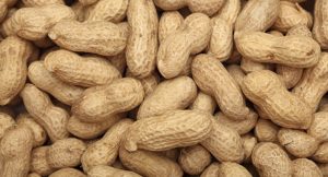 Peanuts. Close-up.