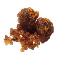 Commiphora wightii resin (Guggul)
