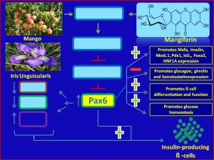 Mangiferin induces Pax6 expession and promotes insulin sensitivity