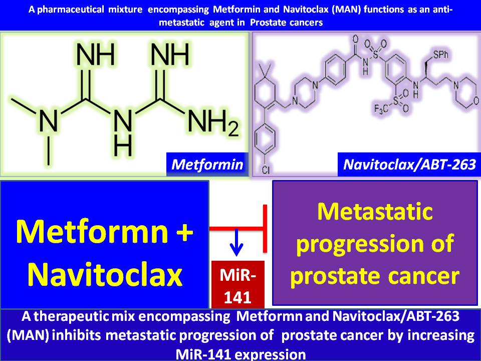 Combinatorial therapy for metastatic prostate cancer A